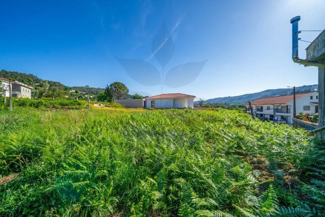 Terreno para Venda em Pico de Regalados, Gondiães e Mós Foto 16
