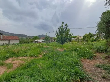 Terreno para Venda em Pico de Regalados, Gondiães e Mós