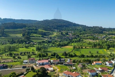 Terreno para Venda em Pico de Regalados, Gondiães e Mós