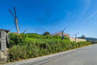 Terreno para Venda em Pico de Regalados, Gondiães e Mós