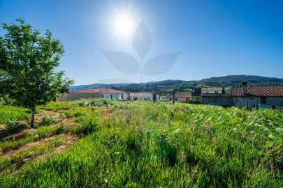 Terreno para Venda em Pico de Regalados, Gondiães e Mós