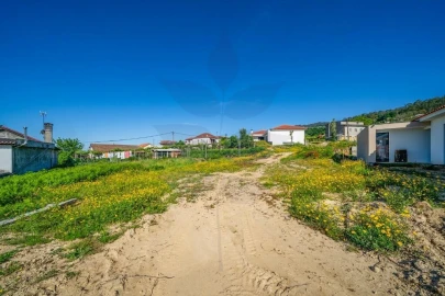 Terreno para Venda em Pico de Regalados, Gondiães e Mós