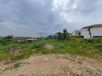 Terreno para Venda em Pico de Regalados, Gondiães e Mós