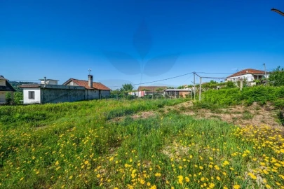 Terreno para Venda em Pico de Regalados, Gondiães e Mós