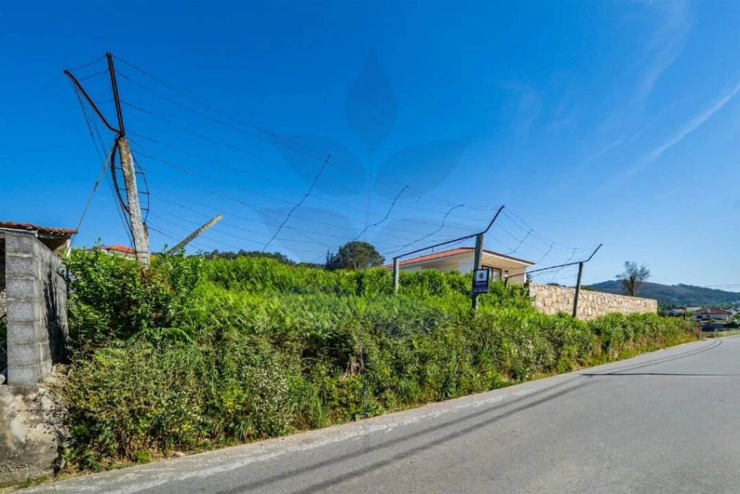 Terreno para Venda em Pico de Regalados, Gondiães e Mós Foto 7