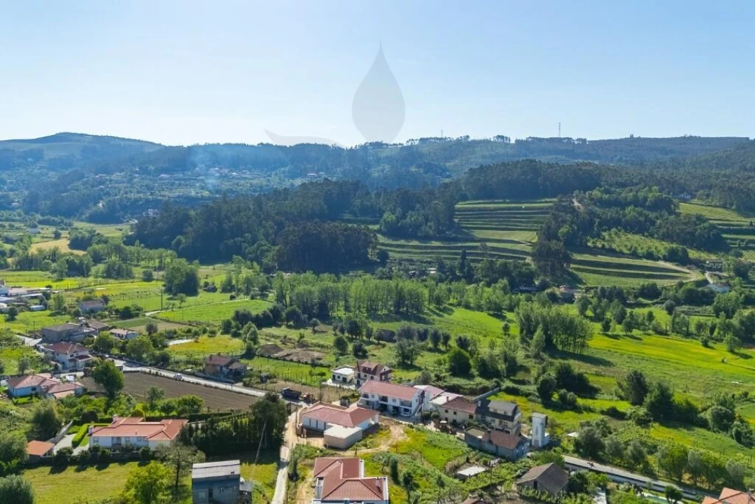 Terreno para Venda em Pico de Regalados, Gondiães e Mós Foto 24