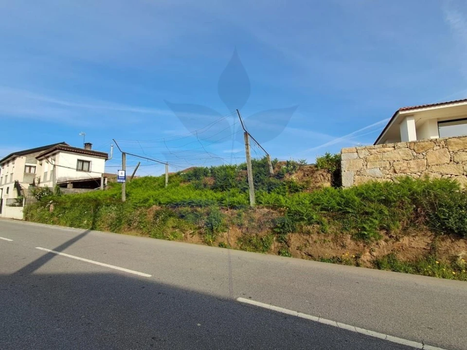 Terreno para Venda em Pico de Regalados, Gondiães e Mós Foto 1