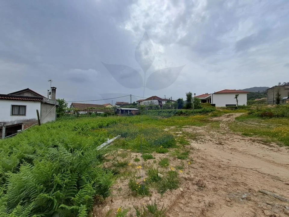 Terreno para Venda em Pico de Regalados, Gondiães e Mós Foto 3