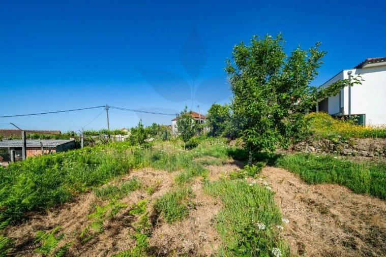 Terreno para Venda em Pico de Regalados, Gondiães e Mós Foto 21