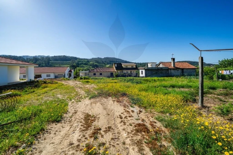 Terreno para Venda em Pico de Regalados, Gondiães e Mós Foto 10