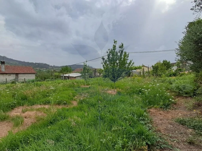 Terreno para Venda em Pico de Regalados, Gondiães e Mós Foto 11