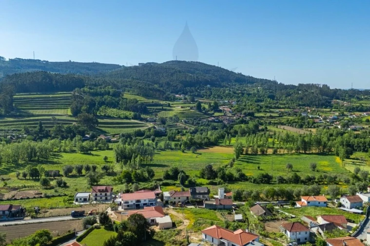 Terreno para Venda em Pico de Regalados, Gondiães e Mós Foto 6