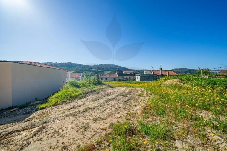 Terreno para Venda em Pico de Regalados, Gondiães e Mós Foto 9