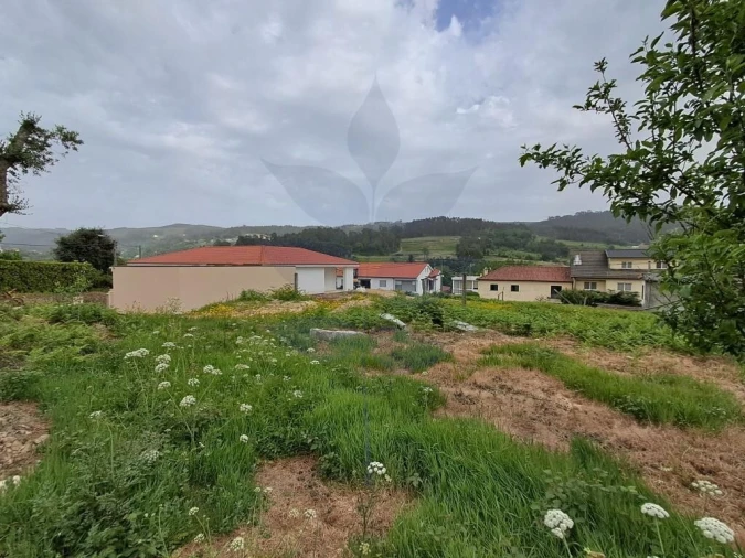 Terreno para Venda em Pico de Regalados, Gondiães e Mós Foto 10