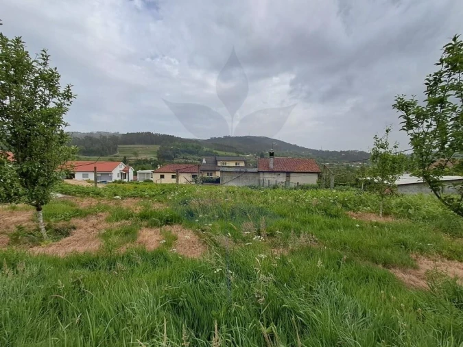 Terreno para Venda em Pico de Regalados, Gondiães e Mós Foto 8