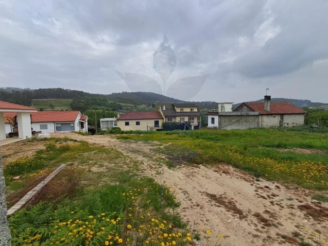 Terreno para Venda em Pico de Regalados, Gondiães e Mós Foto 7