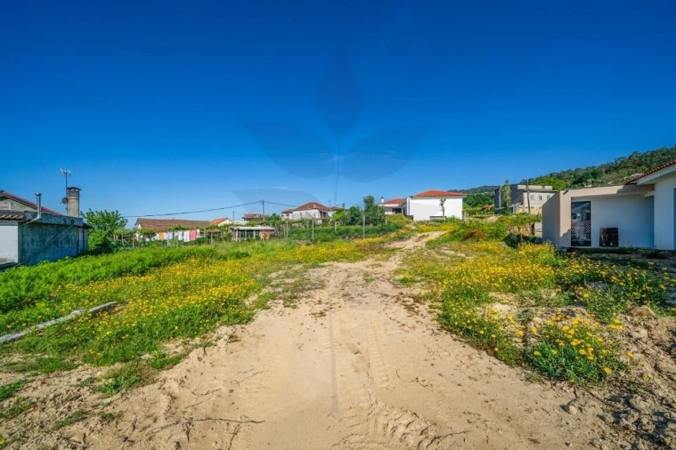 Terreno para Venda em Pico de Regalados, Gondiães e Mós Foto 19