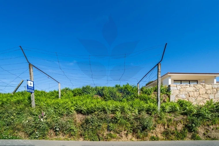 Terreno para Venda em Pico de Regalados, Gondiães e Mós Foto 2