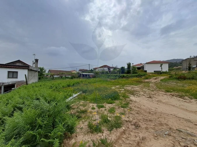 Terreno para Venda em Pico de Regalados, Gondiães e Mós Foto 3