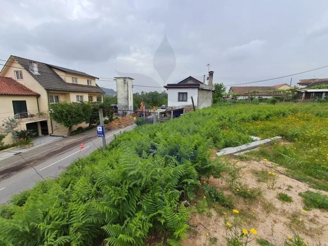 Terreno para Venda em Pico de Regalados, Gondiães e Mós Foto 2