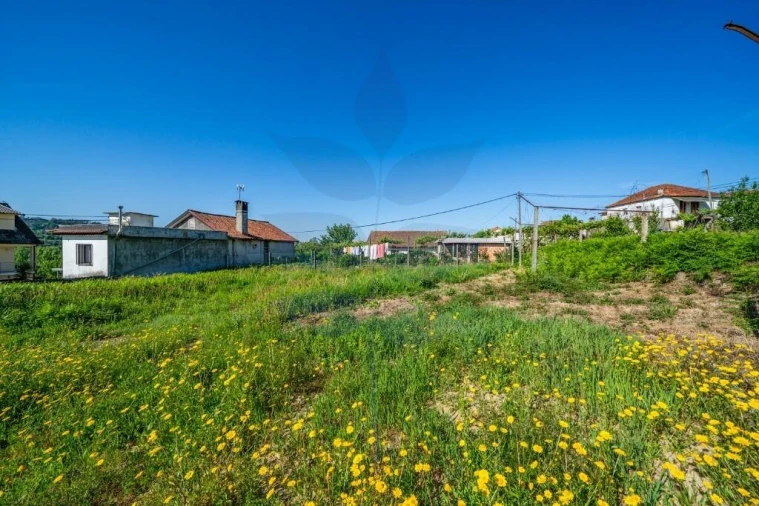 Terreno para Venda em Pico de Regalados, Gondiães e Mós Foto 12