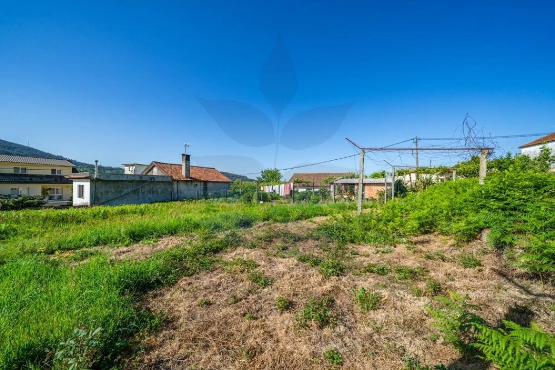 Terreno para Venda em Pico de Regalados, Gondiães e Mós Foto 11