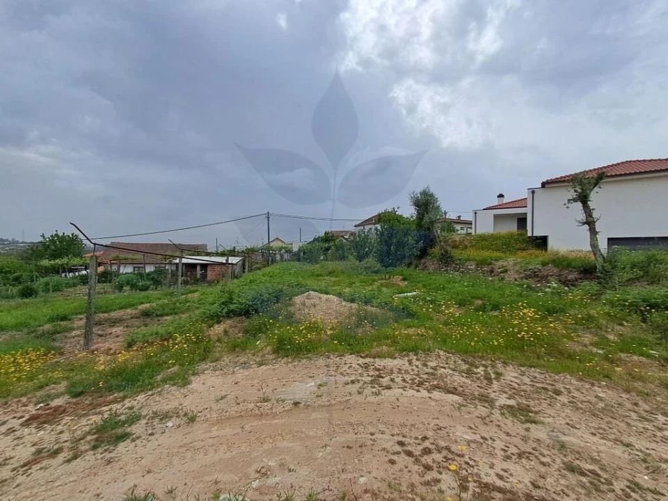 Terreno para Venda em Pico de Regalados, Gondiães e Mós Foto 5