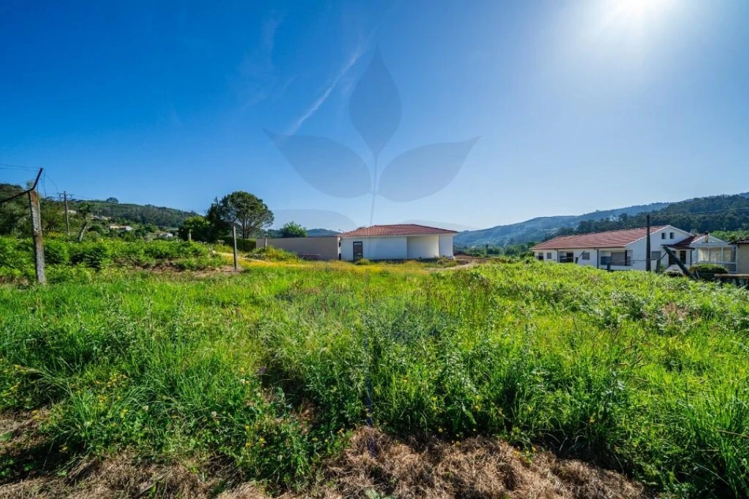 Terreno para Venda em Pico de Regalados, Gondiães e Mós Foto 15