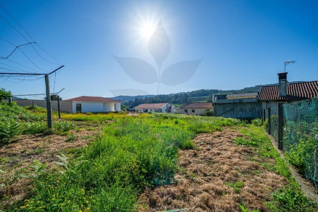 Terreno para Venda em Pico de Regalados, Gondiães e Mós Foto 14