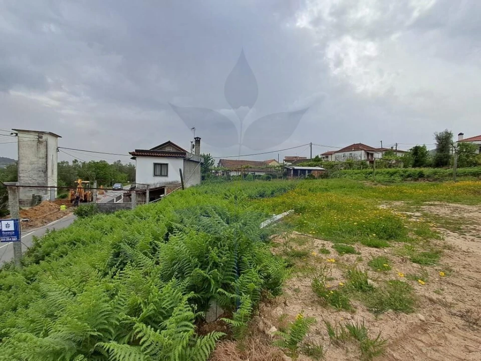 Terreno para Venda em Pico de Regalados, Gondiães e Mós Foto 4