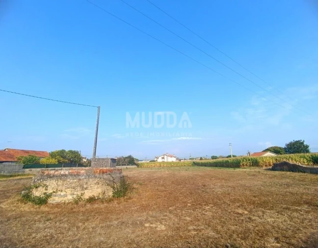 Terreno para Venda em Pardilho Foto 4