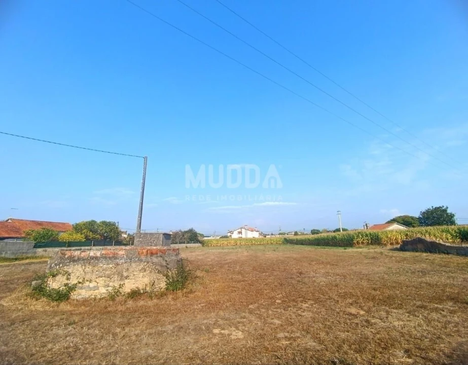 Terreno para Venda em Pardilho Foto 4