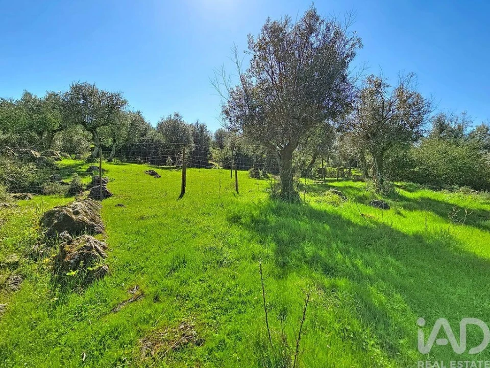Quinta T4 para Venda em Rio de Moinhos Foto 10