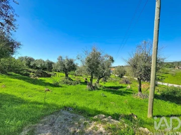 Quinta T4 para Venda em Rio de Moinhos