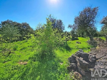 Quinta T4 para Venda em Rio de Moinhos