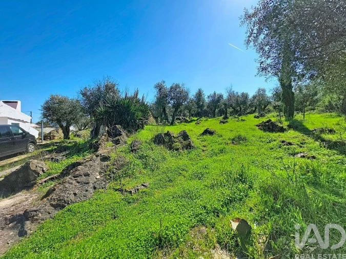 Quinta T4 para Venda em Rio de Moinhos Foto 7