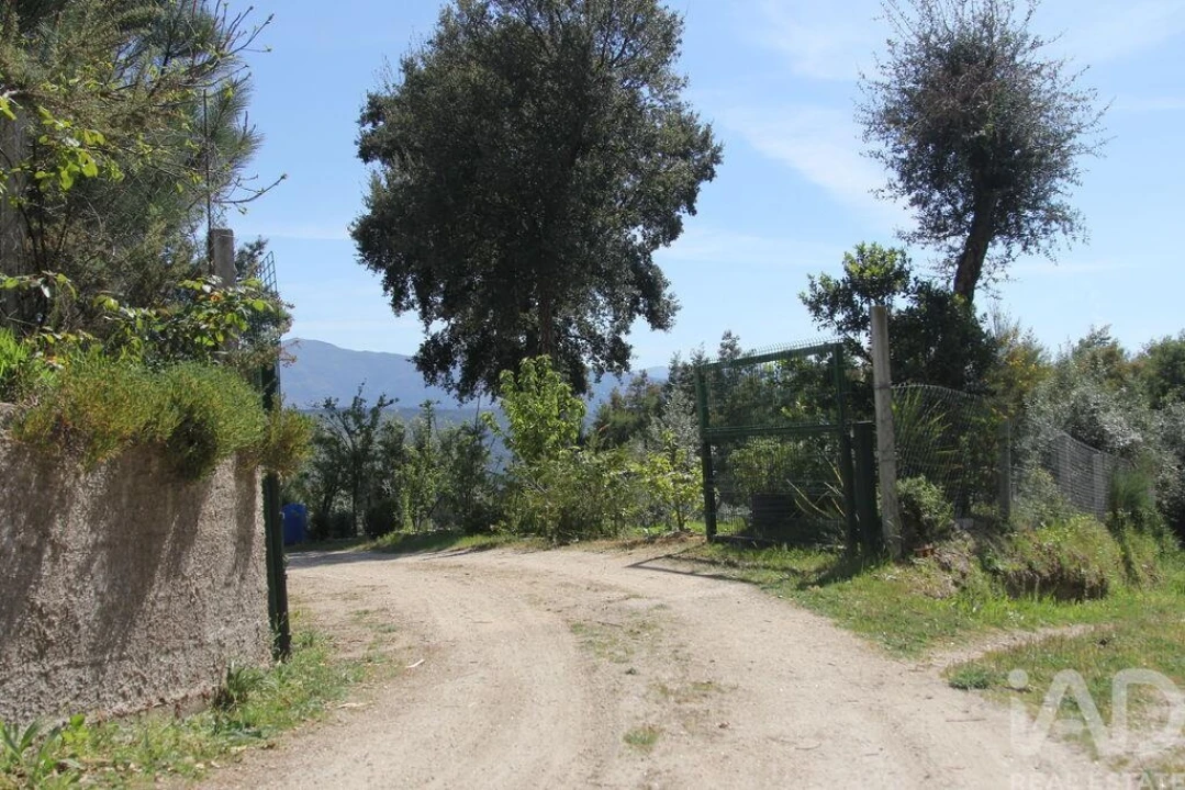Terreno para Venda em Oliveira do Hospital e São Paio de Gramaços Foto 5