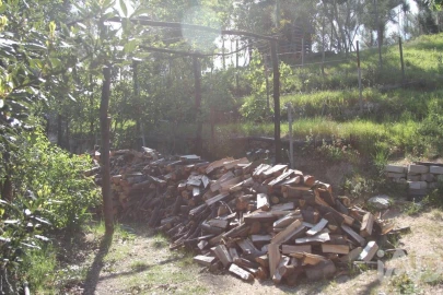 Terreno para Venda em Oliveira do Hospital e São Paio de Gramaços