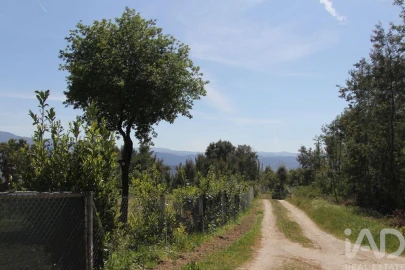 Terreno para Venda em Oliveira do Hospital e São Paio de Gramaços