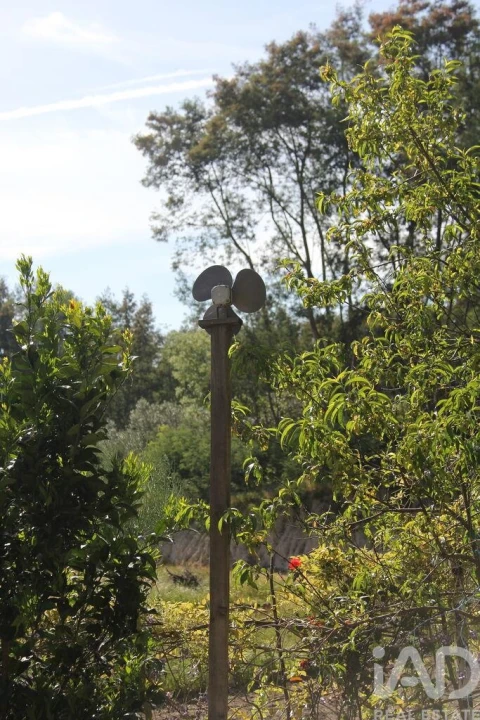 Terreno para Venda em Oliveira do Hospital e São Paio de Gramaços