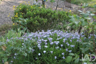 Terreno para Venda em Oliveira do Hospital e São Paio de Gramaços