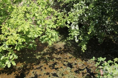 Terreno para Venda em Oliveira do Hospital e São Paio de Gramaços