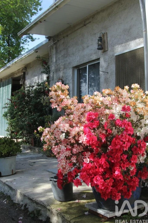 Terreno para Venda em Oliveira do Hospital e São Paio de Gramaços