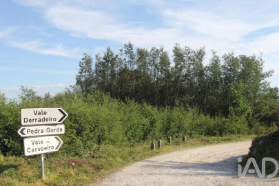 Terreno para Venda em Oliveira do Hospital e São Paio de Gramaços