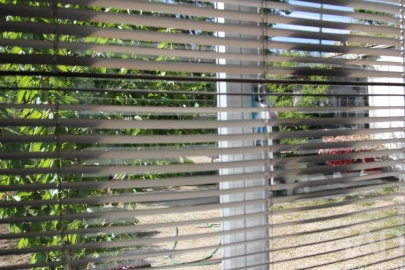 Terreno para Venda em Oliveira do Hospital e São Paio de Gramaços