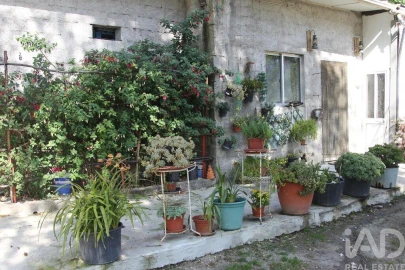 Terreno para Venda em Oliveira do Hospital e São Paio de Gramaços