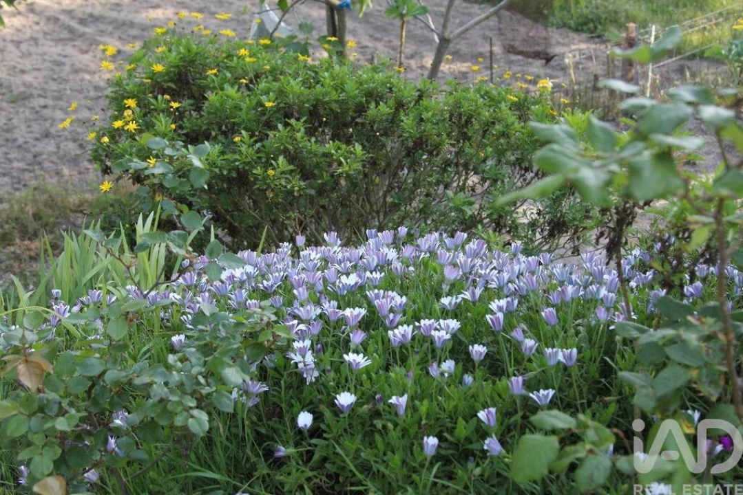 Terreno para Venda em Oliveira do Hospital e São Paio de Gramaços Foto 30
