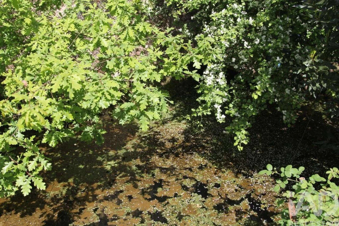 Terreno para Venda em Oliveira do Hospital e São Paio de Gramaços Foto 24