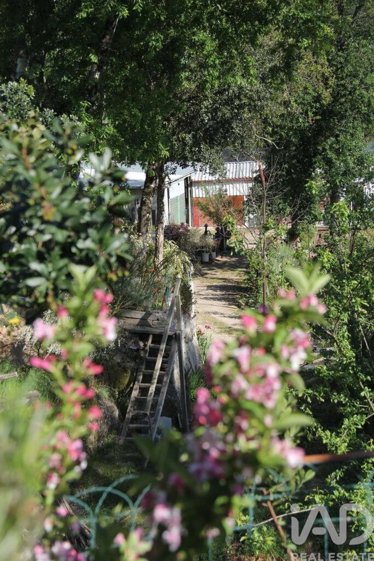 Terreno para Venda em Oliveira do Hospital e São Paio de Gramaços Foto 19