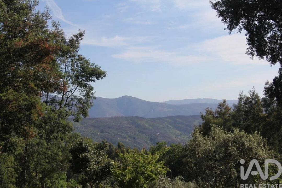 Terreno para Venda em Oliveira do Hospital e São Paio de Gramaços Foto 1